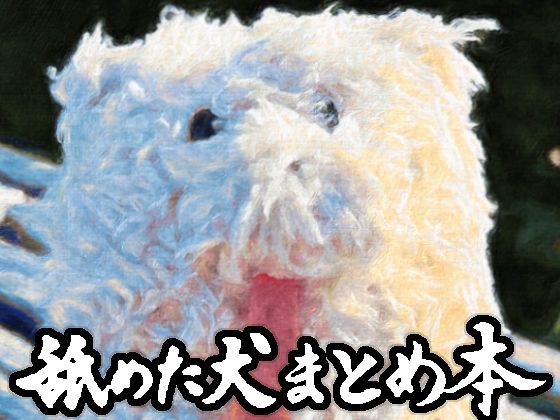 [舐めた犬]舐めた犬まとめ本|ギャグ・コメディ