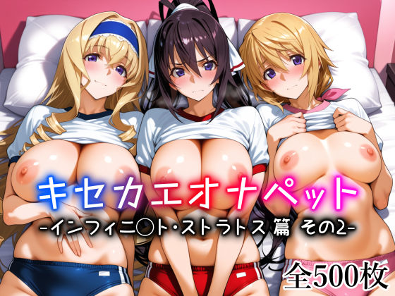 [愛玩ファクトリー]キセカエオナペット -インフィニ◯ト・ストラトス篇 その2-|メイド